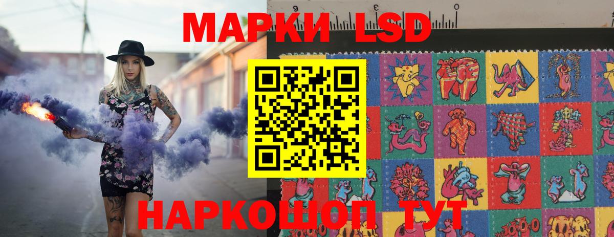 Галлюциногенные грибы Жуковский