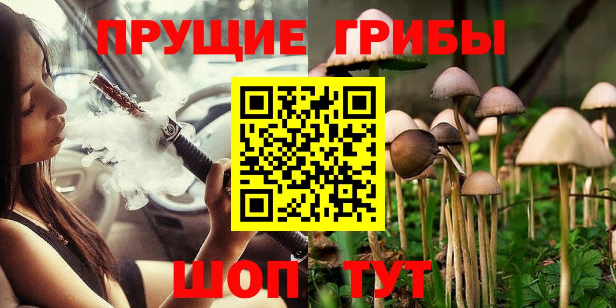 Галлюциногенные грибы Psilocybine cubensis Жуковский